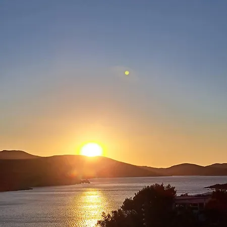 Sunrise Pelagia *